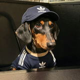 大喜