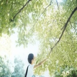 岳枫