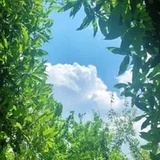 钱塘江上潮信来
