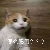 爱上酸奶小饼干