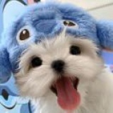 豆友qmGkcY1WuA