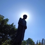 静观
