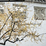 西江客