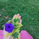 cobeai