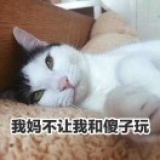 鱼小