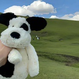 月
