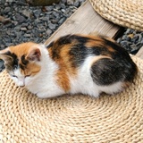 豆阅用户1074216697