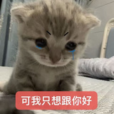 仲夏雨