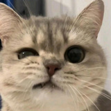一千根针