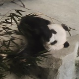 溪行