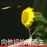 张三李四王五