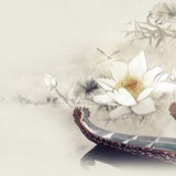 一个小透明