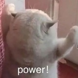 潮信来