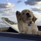 豆阅用户1073813680