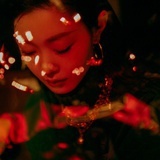 贾府拳王琏二嫂