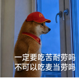 摩斯由