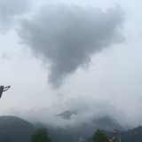 新手