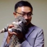 炊事锅