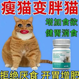 唾沫横飞的比格