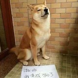 看客915