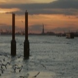 去码头整点薯条