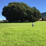 岩中画数