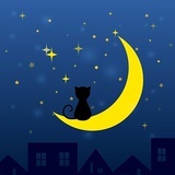 夜猫