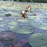 有静气