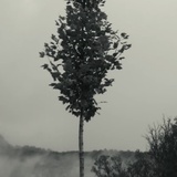 王一博你往哪逃