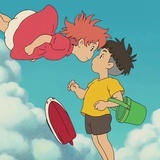 会飞的蜘蛛