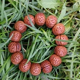 吴白丁