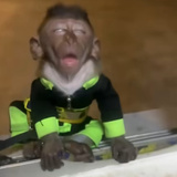 芋头不能没白糖