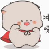林知照