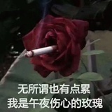 懂饿氏贝卡