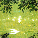 晓笔生花