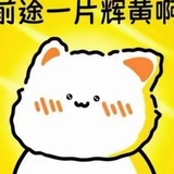 摇光岐