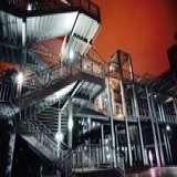 大厦里的霍尔顿