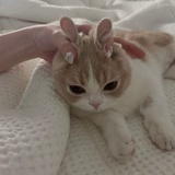 清宜Rebecca