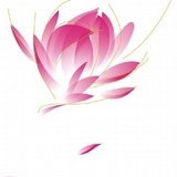 花开见