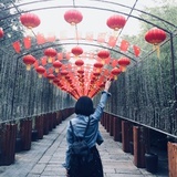 有斐公子