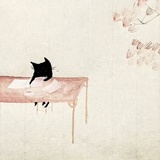 曼殊君