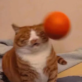 献玉