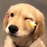 萨卡奇兵
