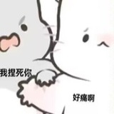 夏花儿