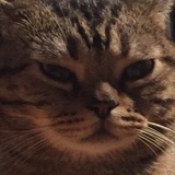 W L J