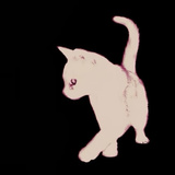 NaCl