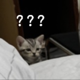 KiKi