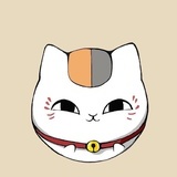 屋檐下的猫
