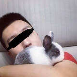 齿轮君。
