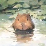 谢辰司